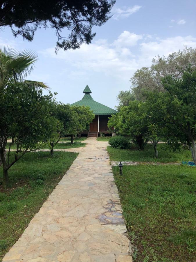 Cirali Armira Bungalow Exterior photo