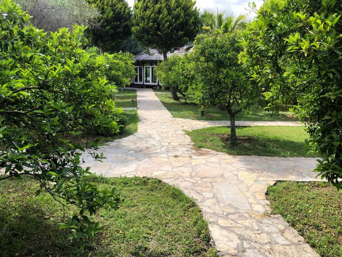 Cirali Armira Bungalow Exterior photo