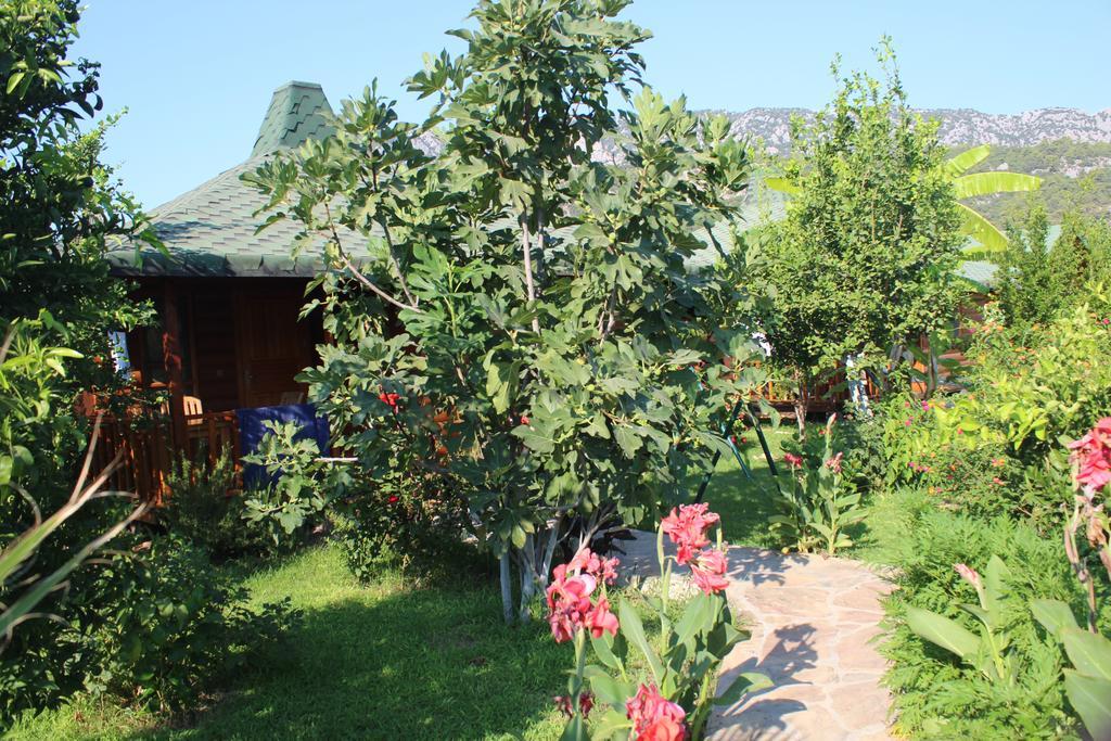 Cirali Armira Bungalow Room photo