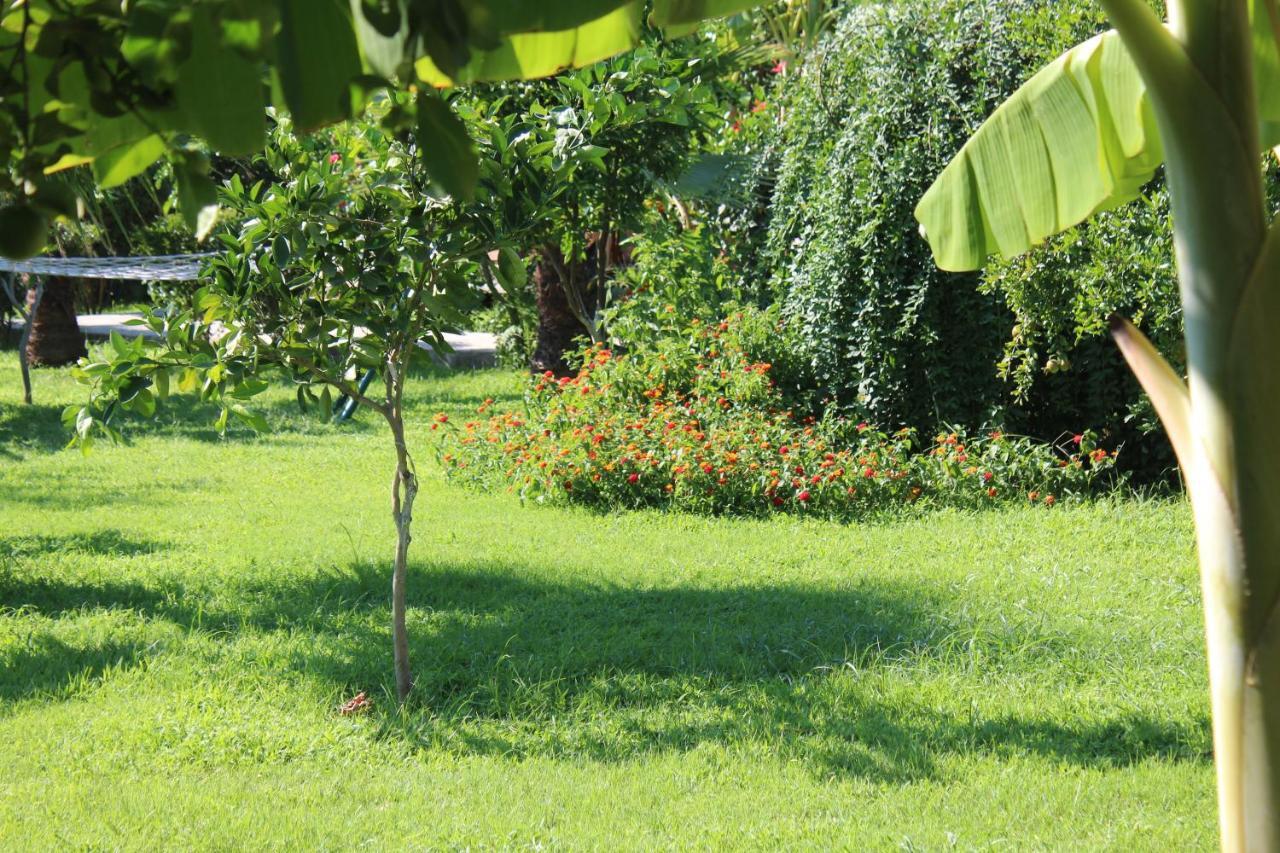 Cirali Armira Bungalow Exterior photo